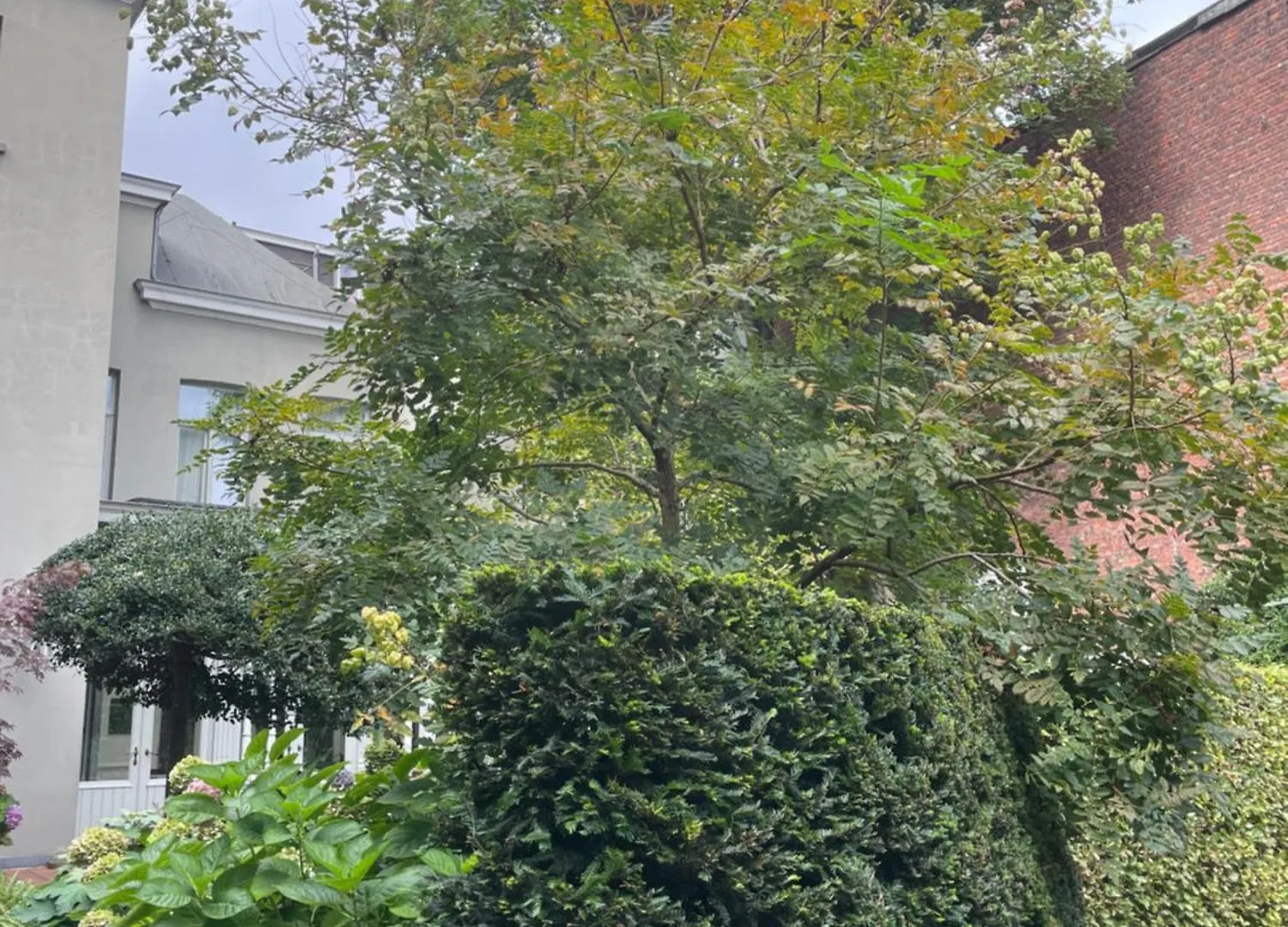 Huis Dujardin Bed&Breakfast Antwerp